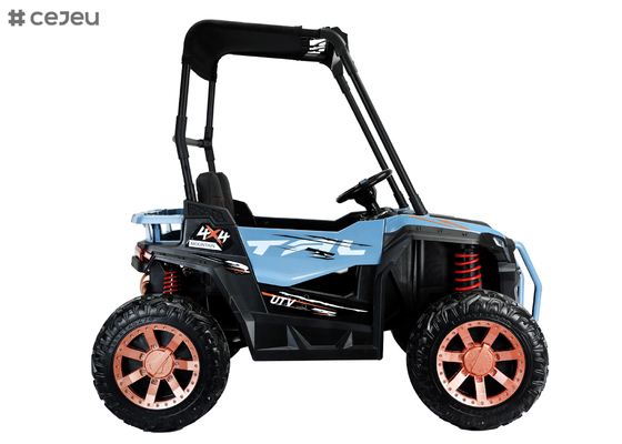 Alimentato Giro-su UTV con il soffitto, i bambini guidano sul camion, giro elettrico dei bambini sul telecomando del genitore dell'automobile