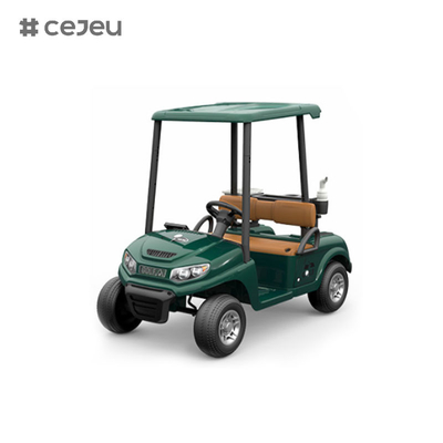 CJ-390 (spazio sufficiente per due posti a sedere), 12V10AH*1, #550*2, 2.4G, musica, usb, mp3, carrello da golf con opzioni di colori multipli