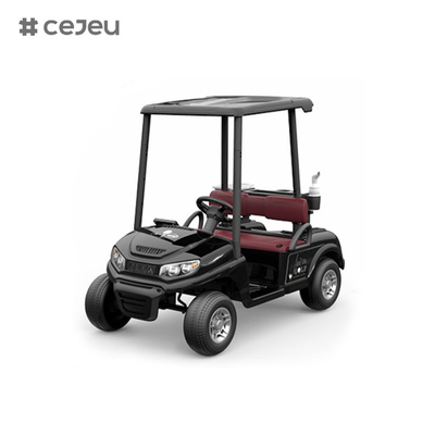 CJ-390 (spazio sufficiente per due posti a sedere), 12V10AH*1, #550*2, 2.4G, musica, usb, mp3, carrello da golf con opzioni di colori multipli