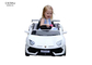 I bambini due va in automobile il giro elettrico 6V4AH su Toy Car With Parallel Swing